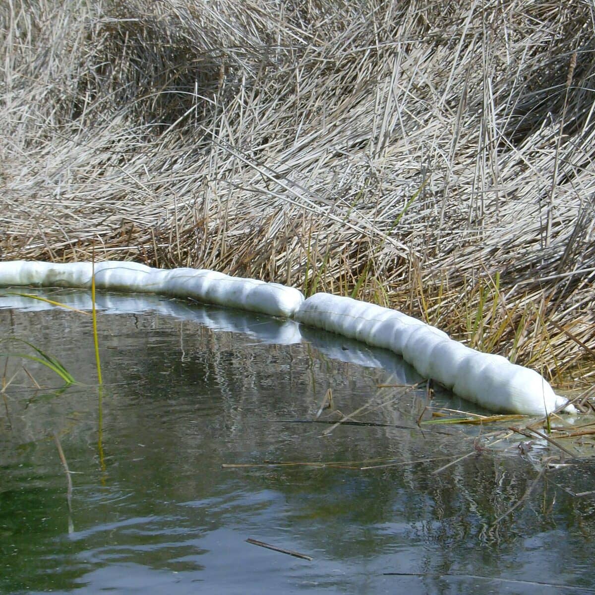 Absorbent Booms