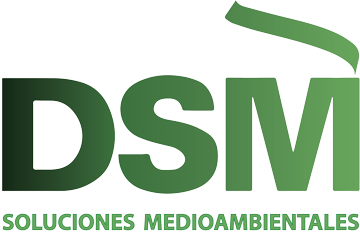 DSM